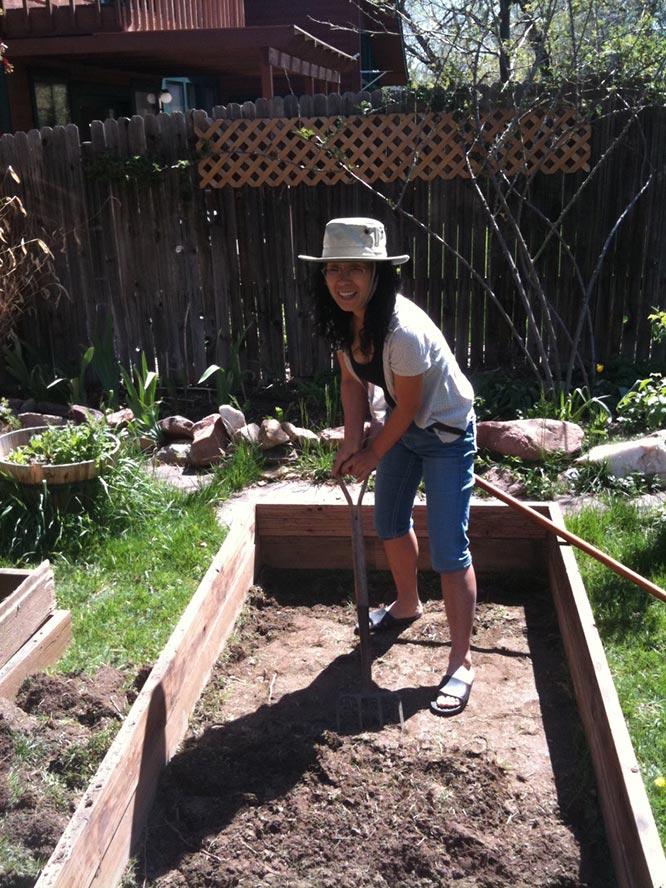digging in a raised bed