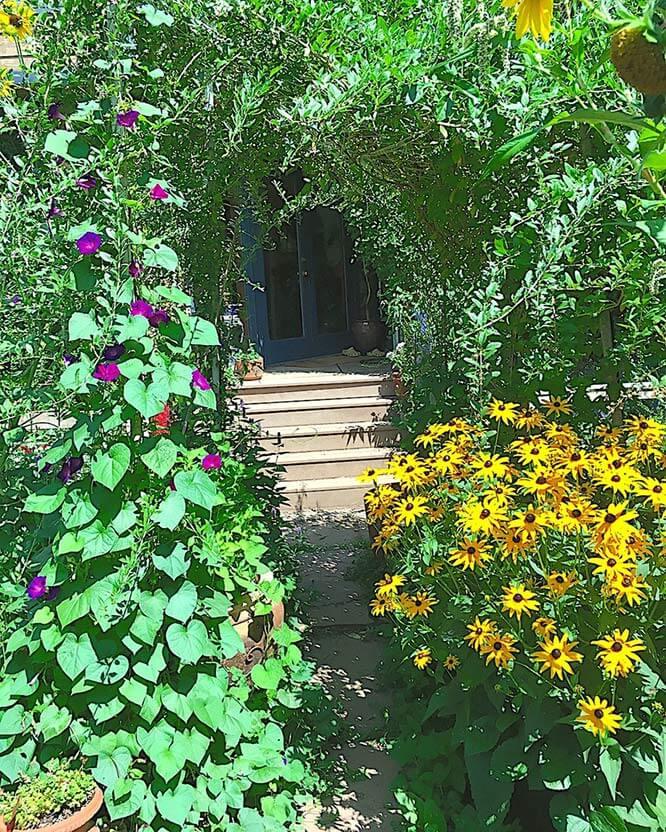 garden backdoor