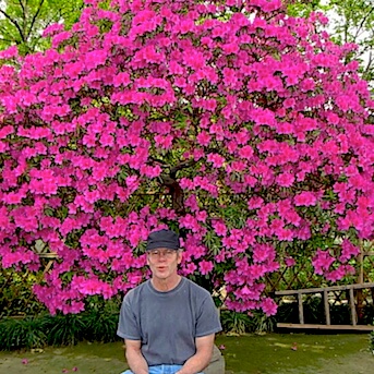 colorful bonsai in Suzhou, China 1987