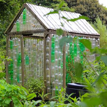 Plastic Bottle-Made Greenhouse