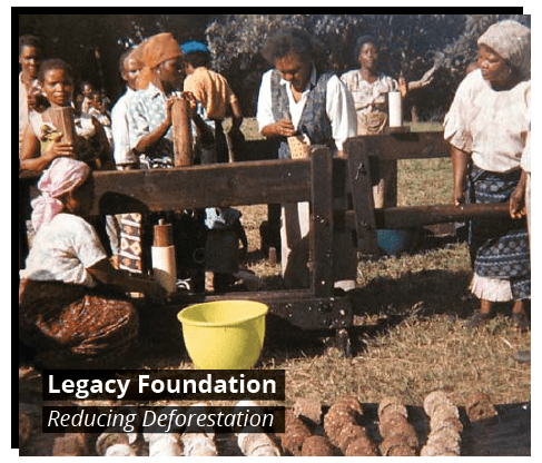 Legacy Foundation - Reducing Deforestation image