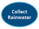 Collect Rainwater